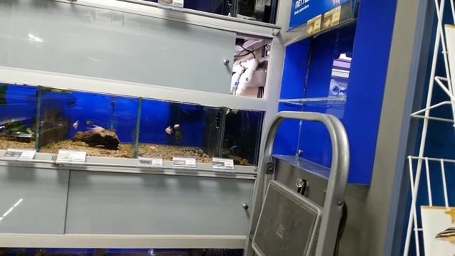 Аквариумный салон-магазин "Акватория" смотреть онлайн