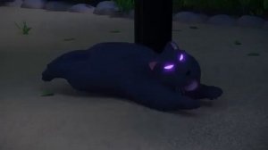 chi the cat sweet home part 40