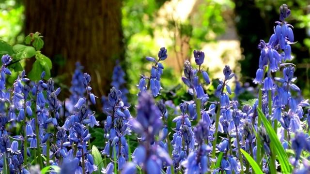 КРАСИВАЯ МУЗЫКА ДЛЯ ϟ УТРЕННЕГО ПРОБУЖДЕНИЯ И АКТИВАЦИИ ВНУТРЕННИХ РЕЗЕРВОВ ϟ БУДИЛЬНИК-КоЛоКоЛьЧиК смотреть онлайн