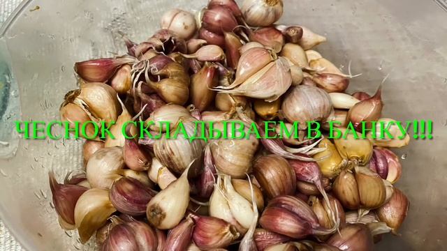 Лайфхаки для Путешествий