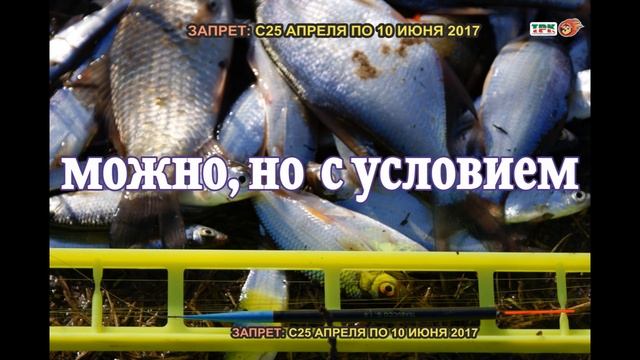 Запрет, что и как, в двух словах коротенько. смотреть онлайн