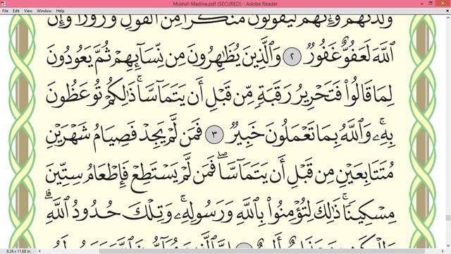 Practice reciting with correct tajweed - Page 542 (Surah Al-Mujadilah) смотреть онлайн