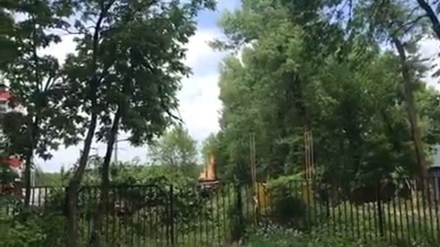 Вырубка деревьев на Южном обходе в Ставрополе смотреть онлайн