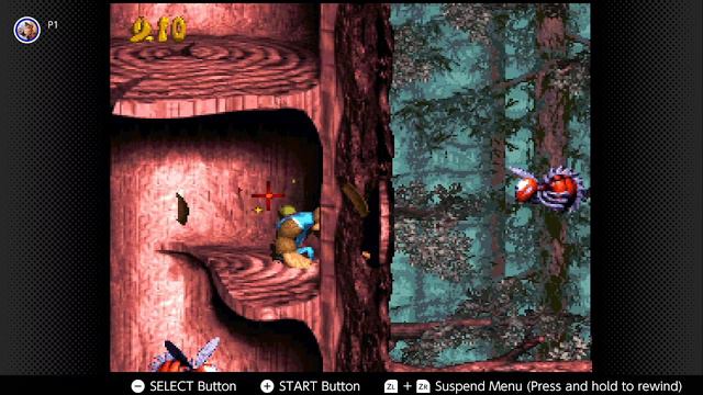 Donkey Kong Country 3: 2-4 Springin' Spiders смотреть онлайн