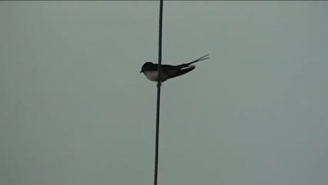 Великое открытие Беномских ученых смотреть онлайн