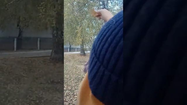 КАК МЫ ПОГУЛЯЛИ С ДРУГОМ