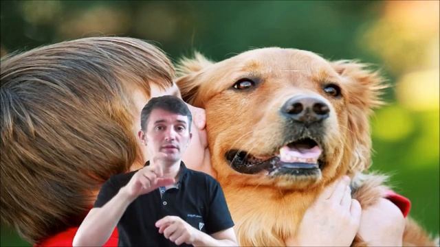 Какие запахи не любят собаки смотреть онлайн