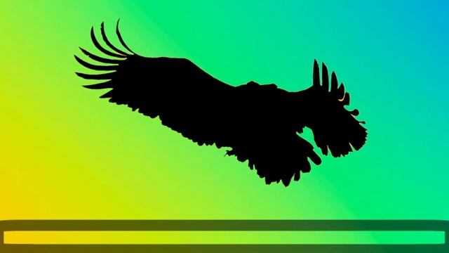 Can You Guess the Animal Quiz#5 | Guess the Animals Shadow | Animal Quiz Guessing Game смотреть онлайн