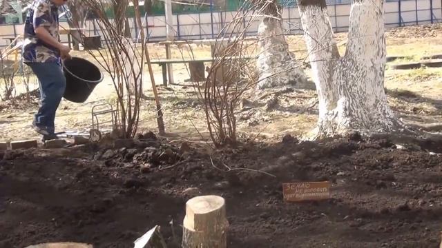 Кусты для Рутария во дворике смотреть онлайн