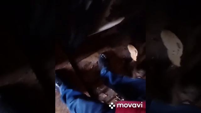 Северный деликатес. Осенний язь и лещ колодкой смотреть онлайн
