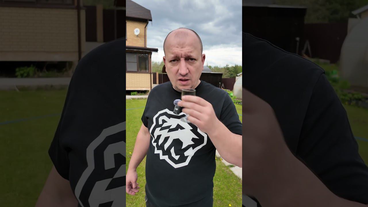 Настойка боярышника дегустация #самозванцы #shorts смотреть онлайн