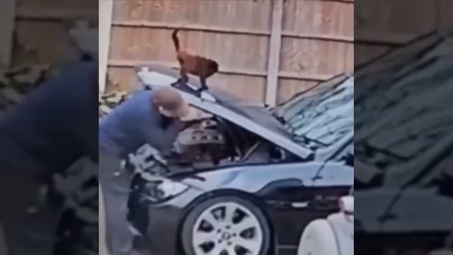 VID_20231113_183844_714.mp4