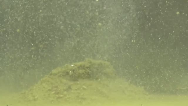 Готовая зимняя смесь "Dunaev" микс плотва+лещ смотреть онлайн