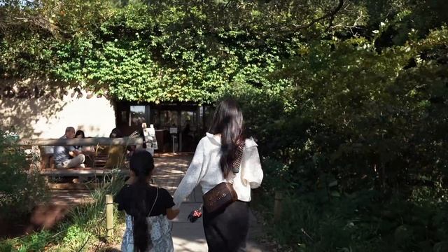 【事故？！】車中泊の旅ではじめての出来事...キャンピングカーが破損する。｜茨城 no.1 смотреть онлайн