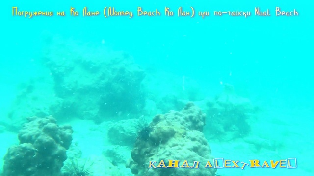 Погружения на Ко Лане (Monkey Beach Ко Лан) или по-тайски Nual Beach.