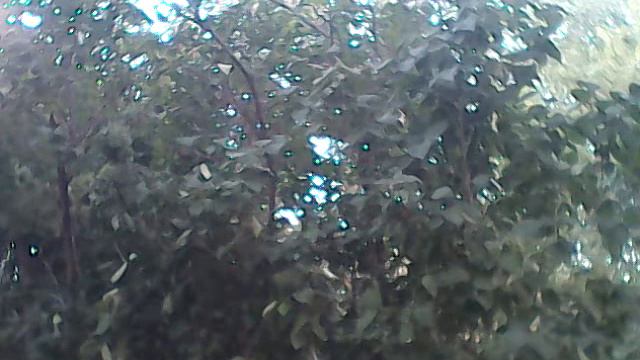 Дед морозы появляются и летом только злые смотреть онлайн