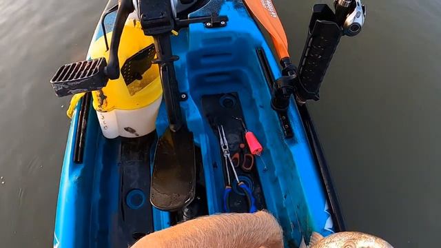 Guided Kayak Trip With Mike And Susan Redfish And Drum On Shrimp смотреть онлайн