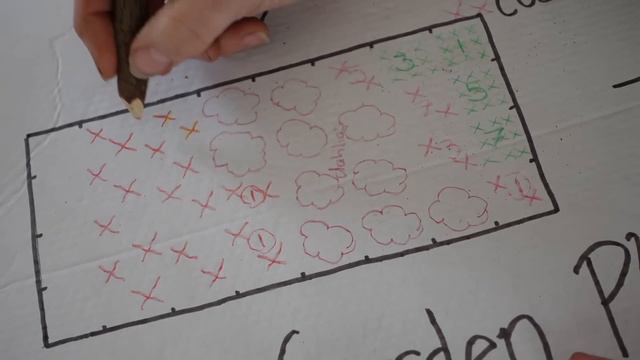 Easy Cut Flower Garden Plan (NO SEED STARTING NEEDED!) смотреть онлайн