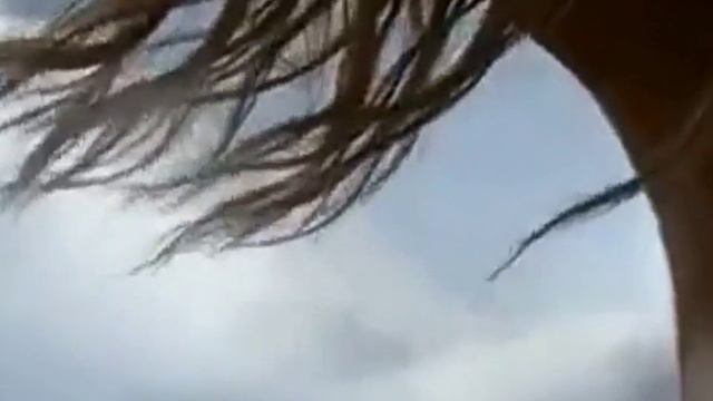 Жеребенок. Розенбаума. смотреть онлайн