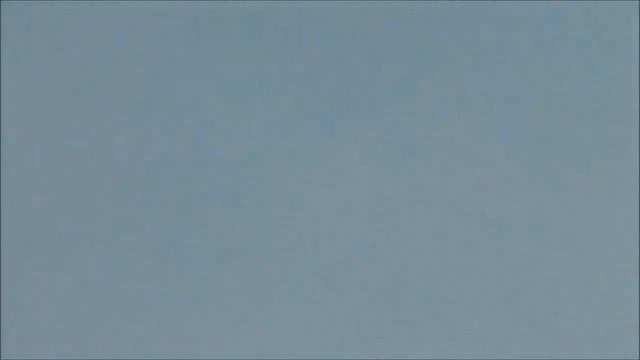 Сирия Боевик снял на камеру редчайшие кадры