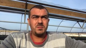 Сколько стоит поставить теплицу и малообъемку под клубнику?
