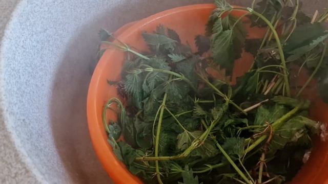 Дизайн и Оформление Логотипов