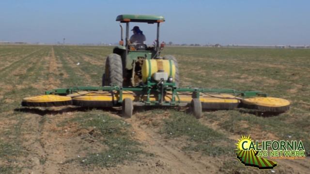 Start off your Orchard Right with Minimal Weed Issues смотреть онлайн
