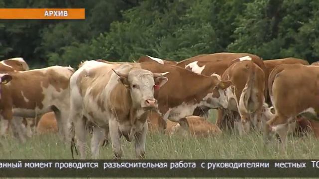 Более 10 тысяч га земельных участков изъяли у сельхозтоваропроизводителей Жамбылского района