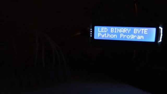 LED BINARY COUNTER Python Programs смотреть онлайн