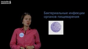 Регуляция пищеварения. Видеоурок 23. Биология 8 класс