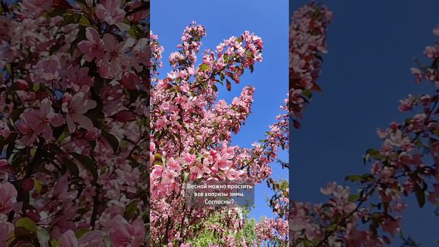 прощаем зиму смотреть онлайн