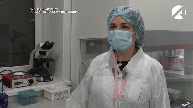 В Астраханской области рыбную продукцию проверяют перед экспортом смотреть онлайн