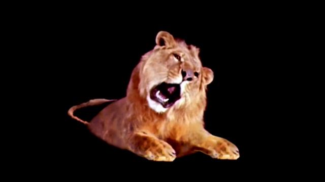 Leo The Lion Footage (1957) смотреть онлайн