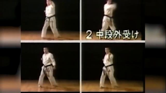 Базовая техника Ашихара-каратэ|Ashihara-karate|SMART KARATE