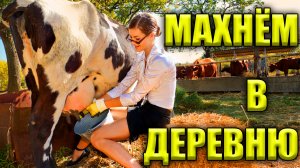 КАК ПОЛУЧИМ ДИПЛОМ, ГОП-СТОП ДУБА/Разбор на баяне очень популярной и весёлой студенческой песни