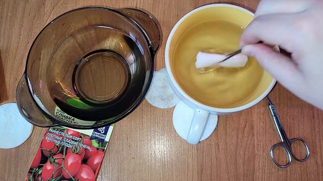 Так быстро всходят даже самые старые семена! СУМАСШЕДШАЯ ВСХОЖЕСТЬ ЛЮБЫХ СЕМЯН СУПЕР СПОСОБ смотреть онлайн