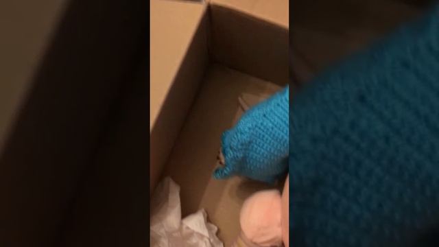 Opening box reborn cat Sphinx смотреть онлайн