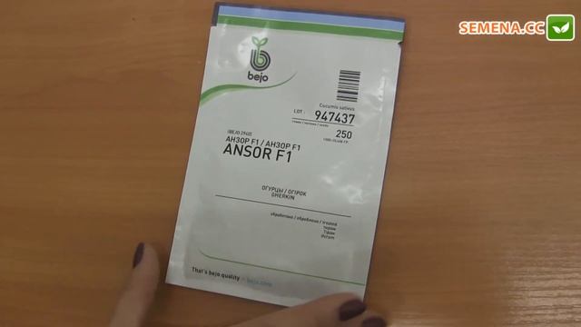 Анзор F1 Огурец (Bejo) Антифейк