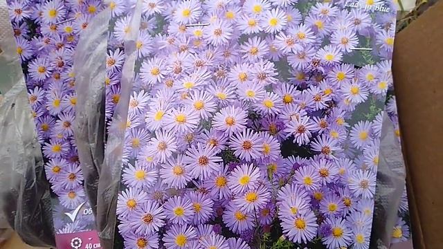 Покупки для сада. Распаковка двух посылок. смотреть онлайн