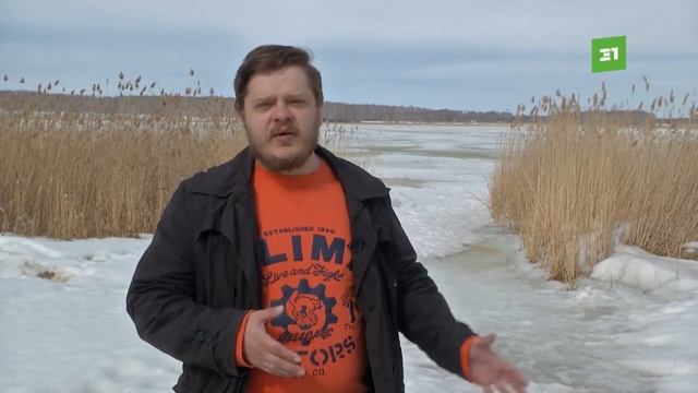 Жители села Хомутинино добились запрета на строительство на берегу озера Горькое смотреть онлайн