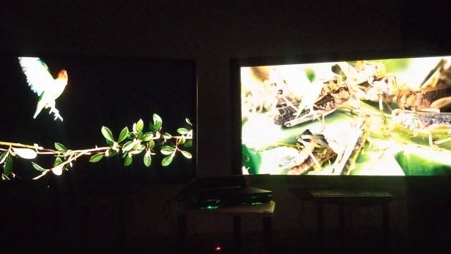 Legendary Plasma TVs: Panasonic VT50 (left) and the Pioneer PDP - LX5090 смотреть онлайн