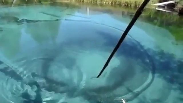 ЧУДО ОЗЕРО!!! ГОРНЫЙ АЛТАЙ.MYSTERIOUS LAKE смотреть онлайн