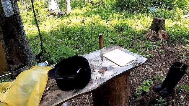 Жизнь на солонце. смотреть онлайн