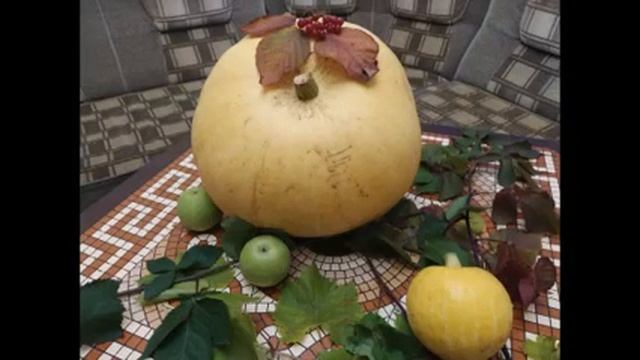 Интересное о тыкве - ?ЧТЕНИЕ СО ВКУСОМ - Часть 2. Детская библиотека смотреть онлайн