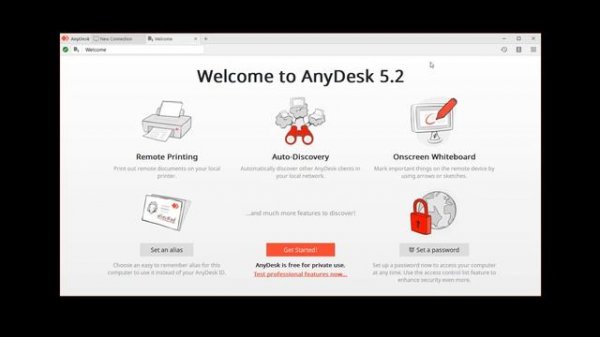 AnyDesk Printing
