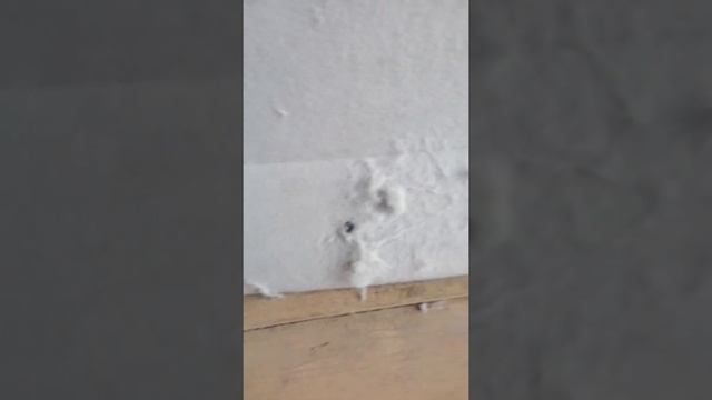 Дом и Мебель