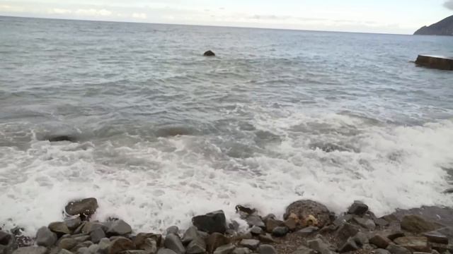 3. ВОТ ЭТО ПРОГУЛКА! ВСЕМ ПРИВЕТ ОТ УМЕША. ГОВОРЯЩИЕ КОТЫ. ВДЫХАЕМ МОРЕ! КРЫМ. ЯЛТА. ГУРЗУФ. смотреть онлайн