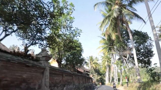 Детокс на соках + Медитация Випассана + Йога • БАЛИ • День 4