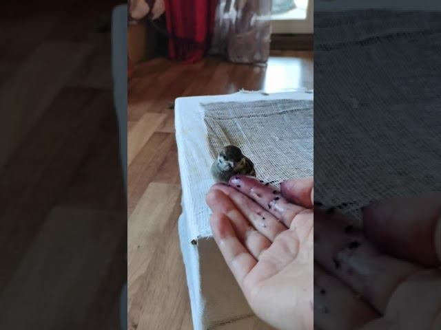 Та причина, ввиду которой я задерживаюсь с ответами на ваши запросы жду когда начнёт летатьскоро смотреть онлайн