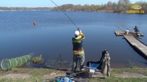 Ловля карпа на фидер на платнике ранней весной. Семейный выезд. [salapinru]